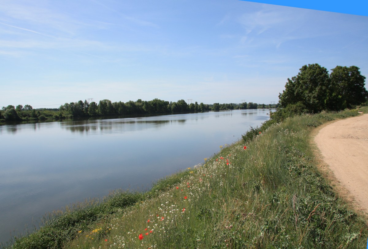 La Loire à Baule dans le Loiret en Val de Loire