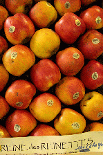 Pommes Pommes Pommes