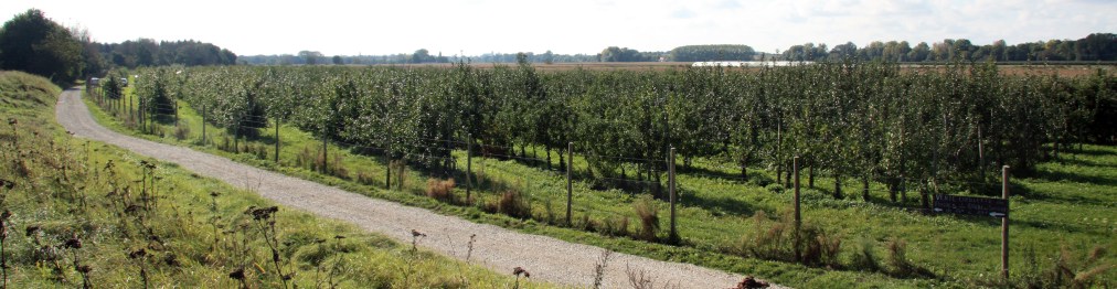 Verger collection du Val de Baule en région centre Val de Loire, près de Beaugency et Meung sur Loire, sur la route de la Loire à vélo