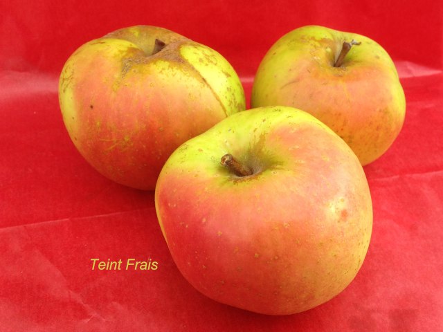 pomme teint frais du Val de Baule en Val de Loire