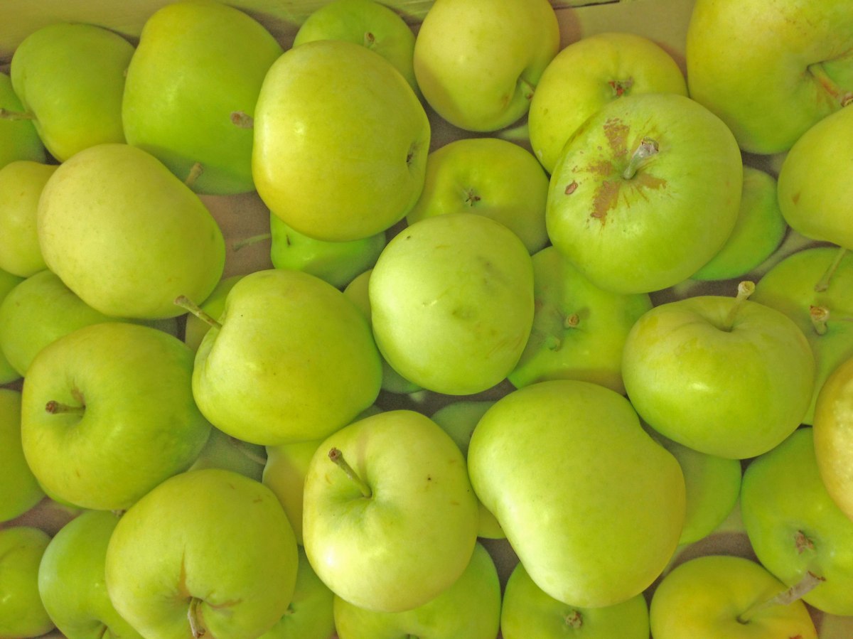 pommes du val de Baule à Beaugency en région Centre Val de loire