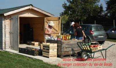 pommes-du-val-de-Baule-en-region-centre-val-de-Loire-vente-cueillette-au-verger-