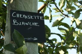 pomme-val-de-loire-au-verger-collection-chemisette-blanche