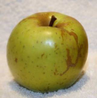 Pomme-sainte-germaine-val-de-loire