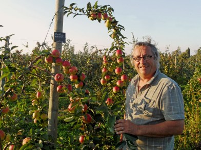 jacques-ollivier-verger-collection-du-val-de-baule