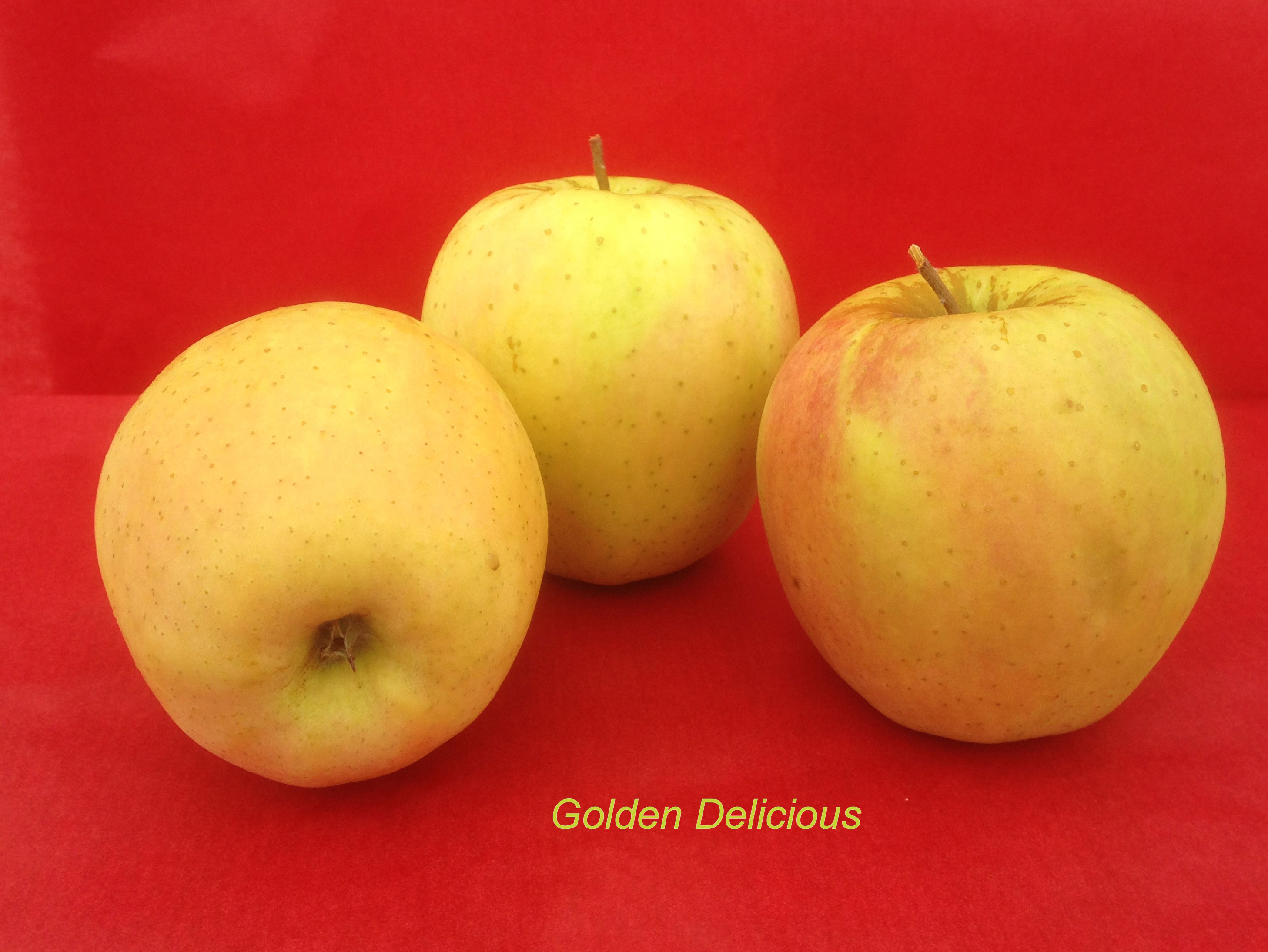 pomme-val-de-loire-golden-delicious