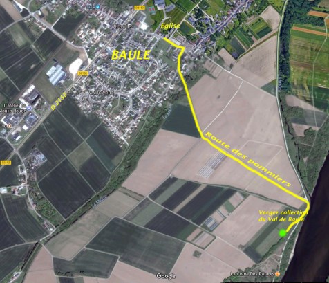 verger-collection-val-de-baule-loire