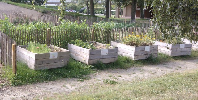 pallox pommes du val de loire et jardin-1