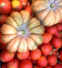 Pommes du val de Baule potiron et potimarron