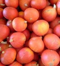 pommes val de Baule potimarrons