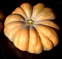 Potiron muscade Pommes du Val de Baule